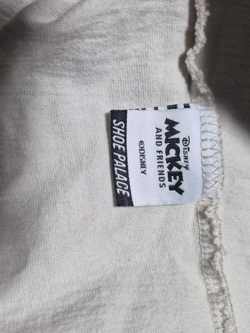 PALACE shoe disney